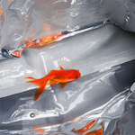 Folding Suitcase Travel Bag